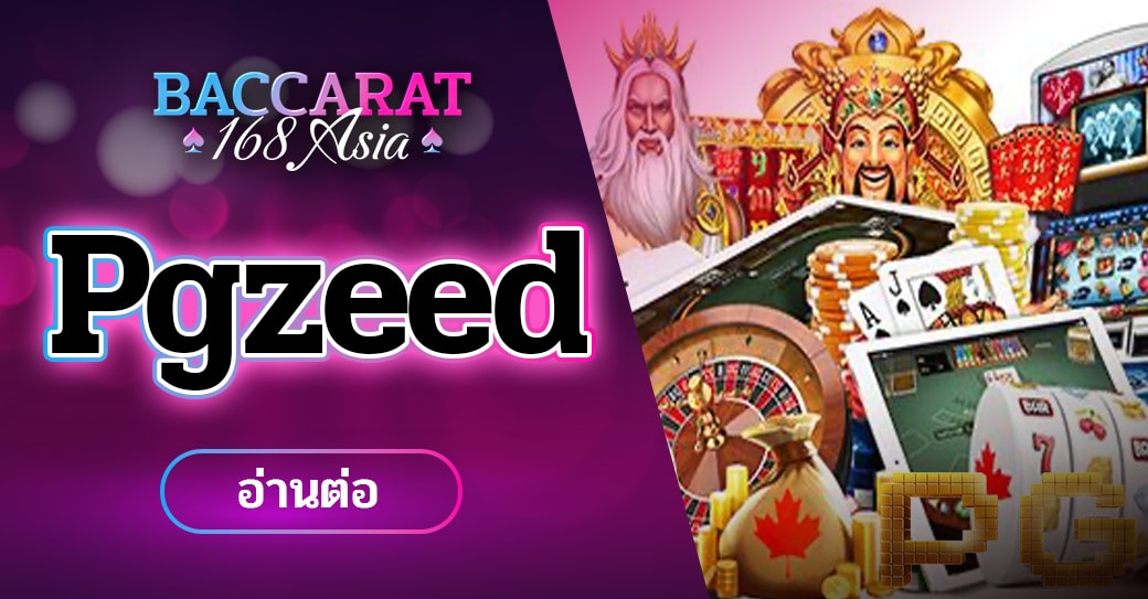 ปกPgzeed